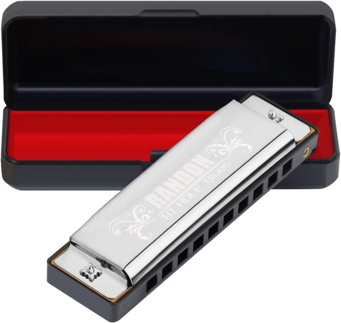 Randon 10 Hole Harmonica Key of C Blues Diatonic Stainless Steel Beginner Set