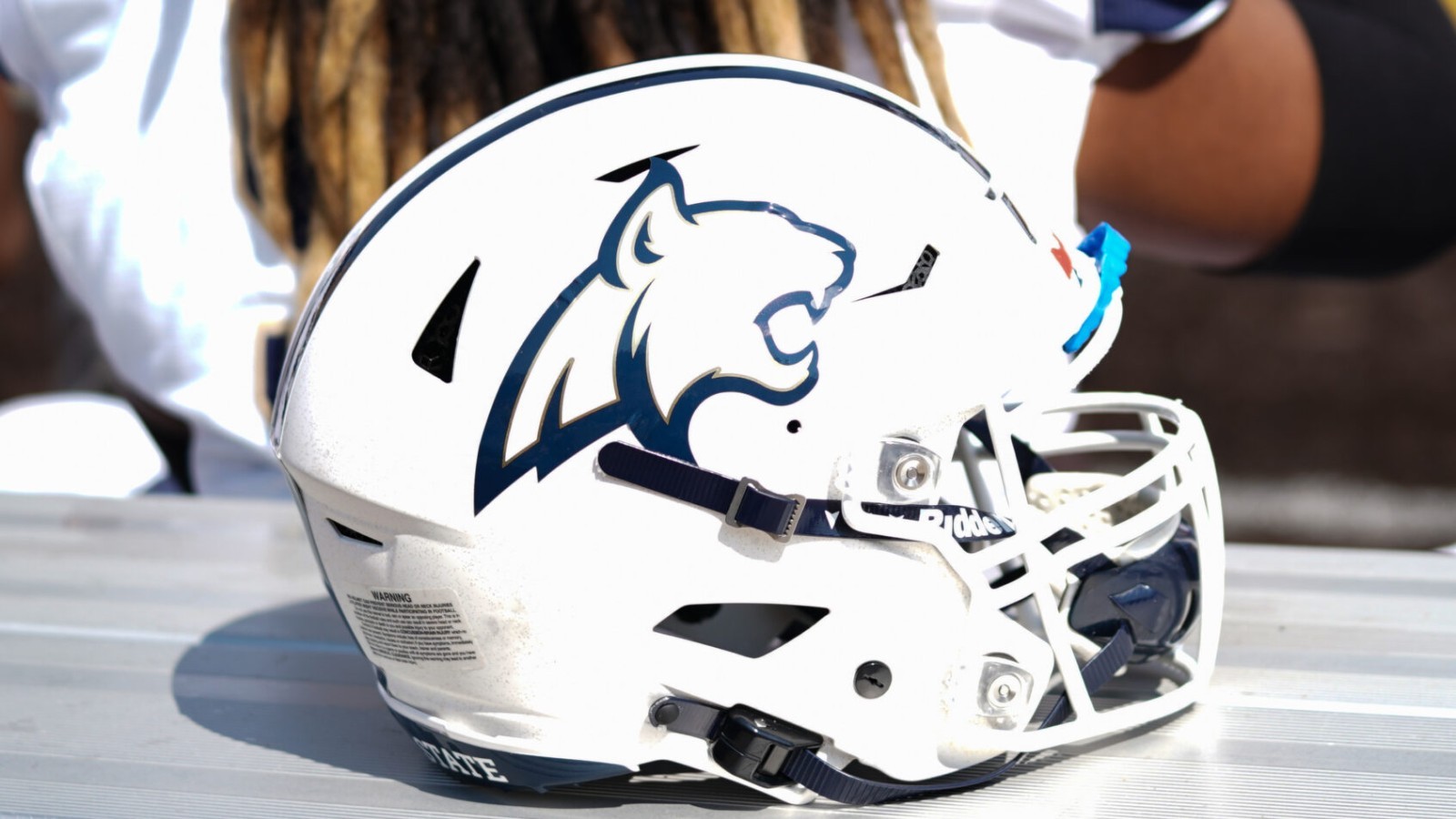 Montana State Bobcats White Bobcat Logo Riddell Speedflex Football Helmet