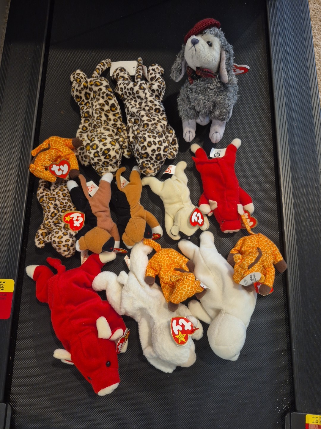 Ty Beanie Babies Lot