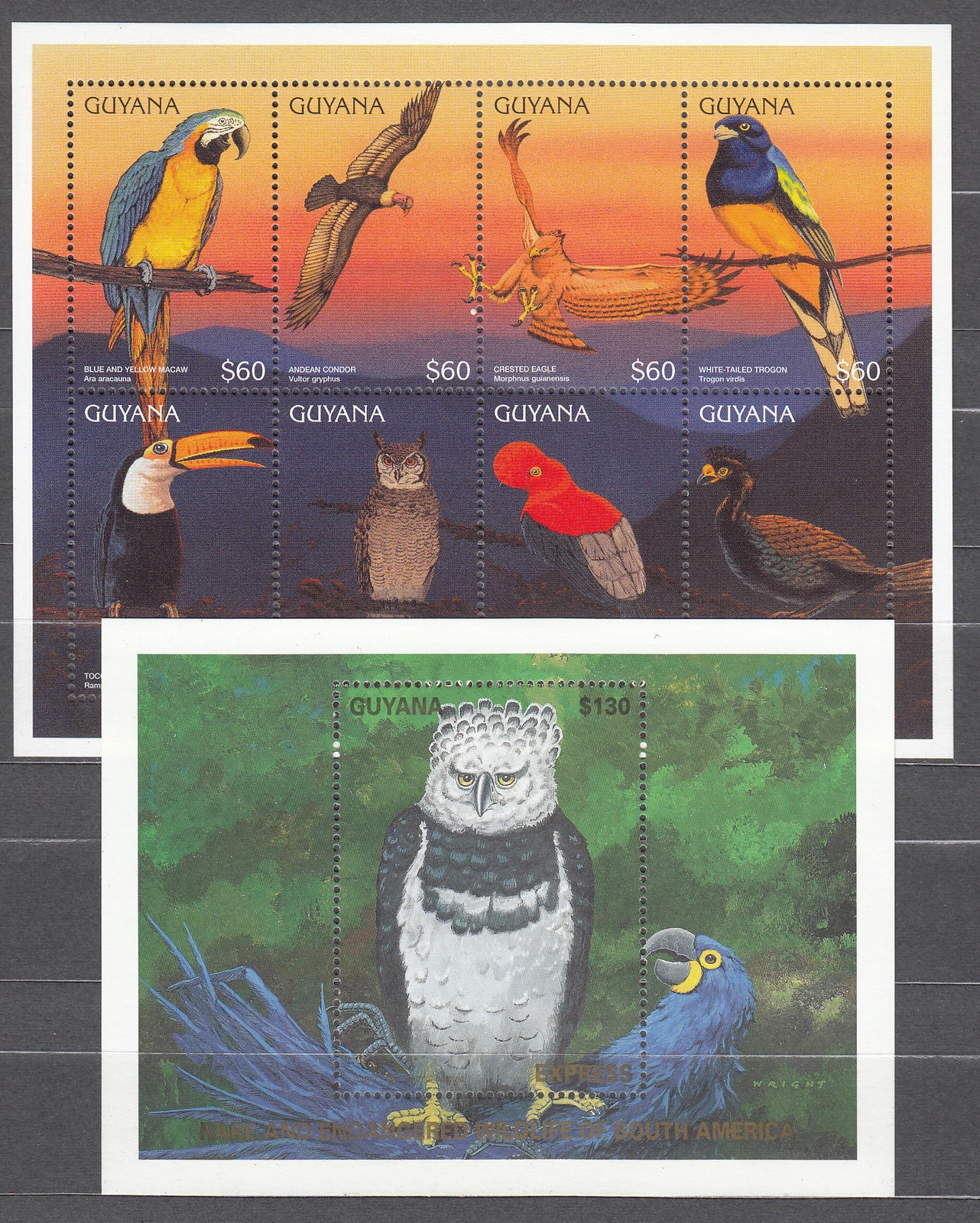 British Guiana - Mail Yvert 4060/67 + Sheet 242 ** Mnh Fauna - Birds