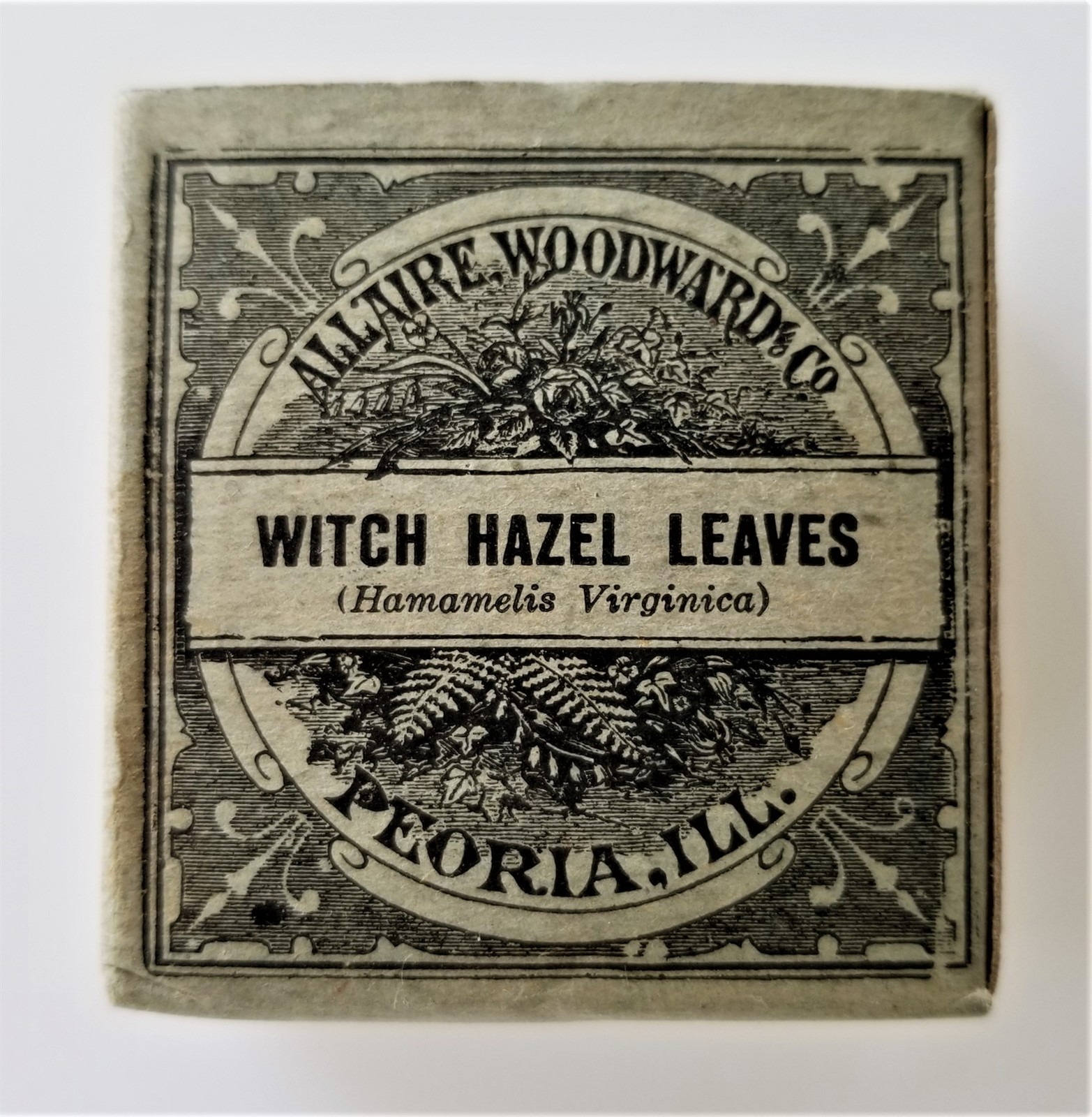1906 antique Unused WITCH HAZEL LEAVES QUACK MEDICINE Allaire Woodward SEDATIVE