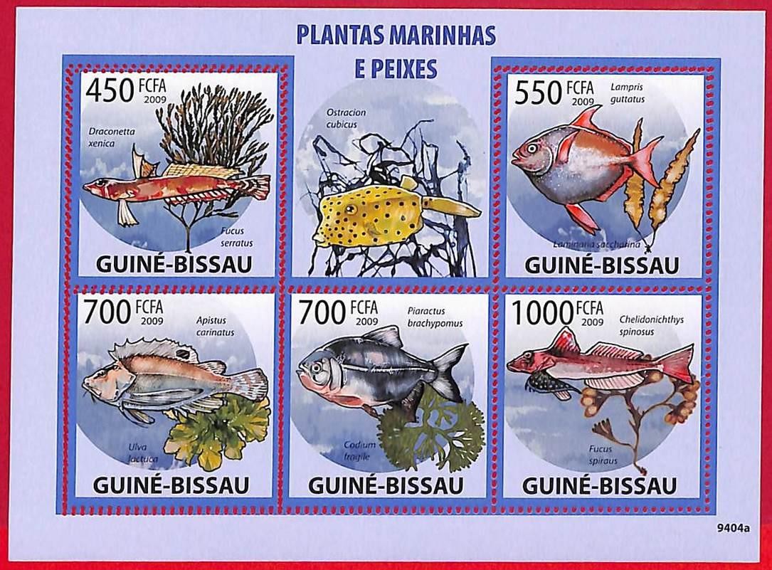 A5202 - GUINE-BISSAU - ERROR MISPERF Stamp Sheet - 2009 - Marine Plants and Fish