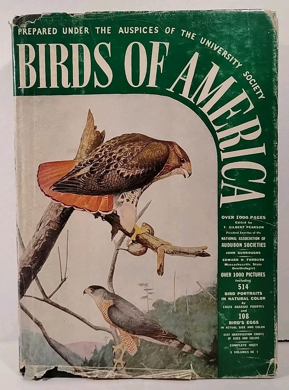 BIRDS OF AMERICA : Edited by T. Gilbert Pearson c. 1936 Vintage Illustrated HCDJ