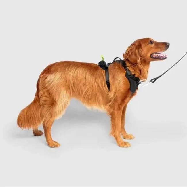 Canada Pooch Harness With Bag Dispenser Dog Waste