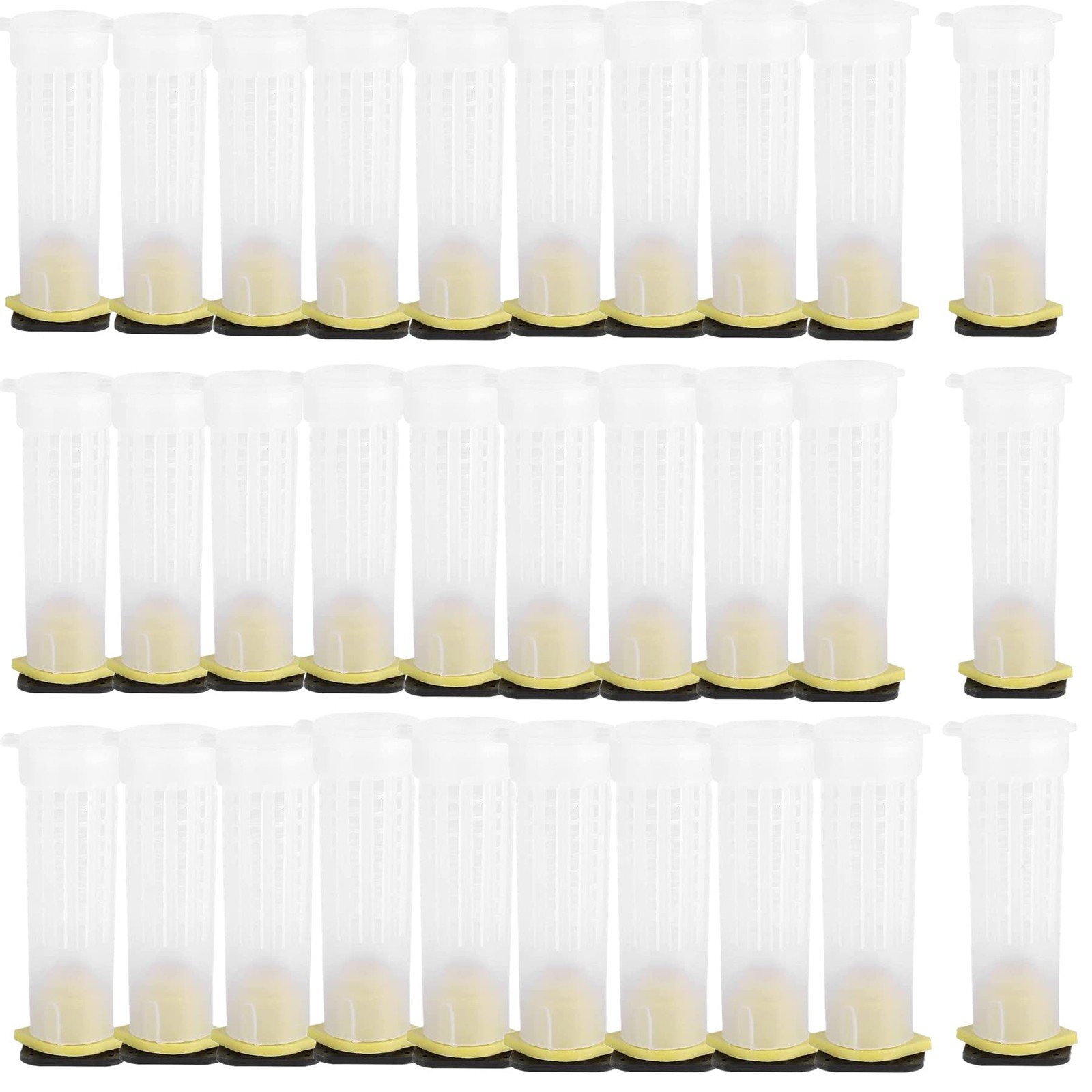 30pcs Queen Bee Roller Cages -Plastic Beekeeping Rearing Cup Kit bee... 