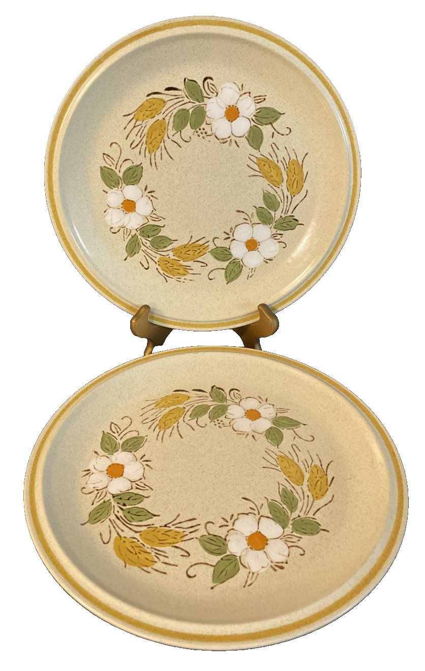 2 Hearthside Dinner Plates Garden Festival Prairie Flowers Stoneware 10.5+” Set