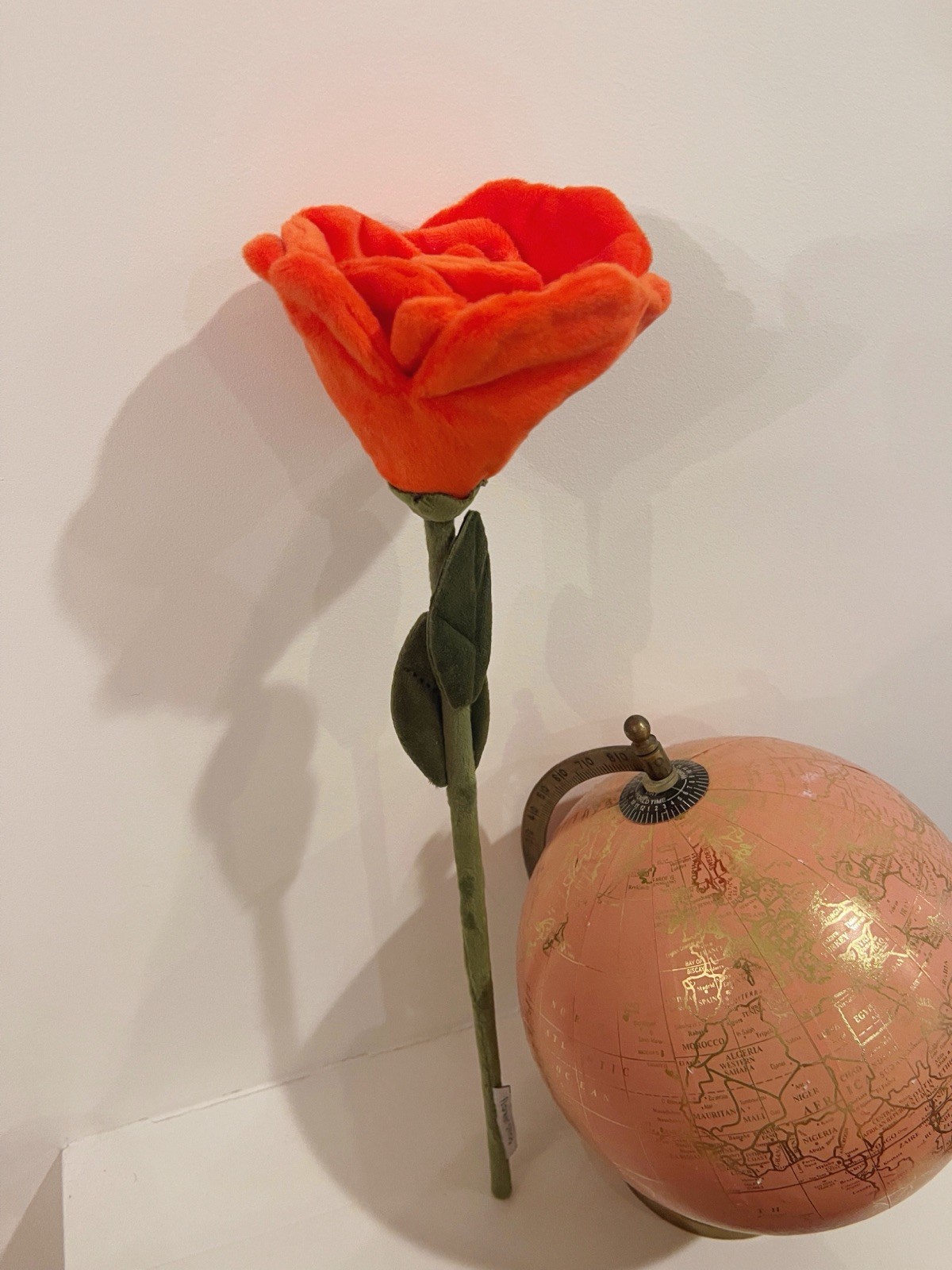 CJ Hendry Flower Shop bloom