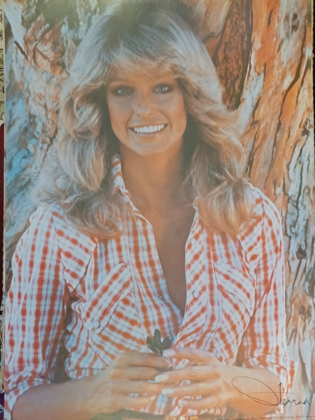 Pro Arts 1977 Farrah Poster Ford Plaid Shirt Ohio Photorealism Celebrity