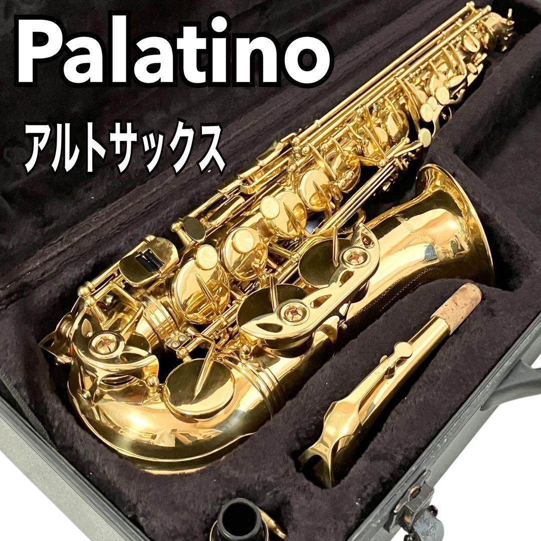 Palatino Alto Saxophone Brass Band with Case Orchestra