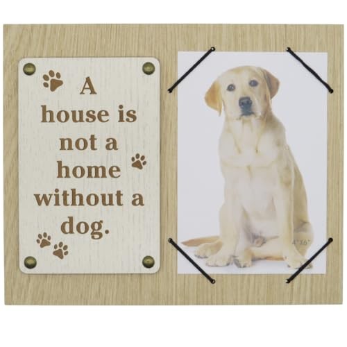 Decor Signs, Gifts For People Who Love Dogs, I Love My Dog Picture Dog Home