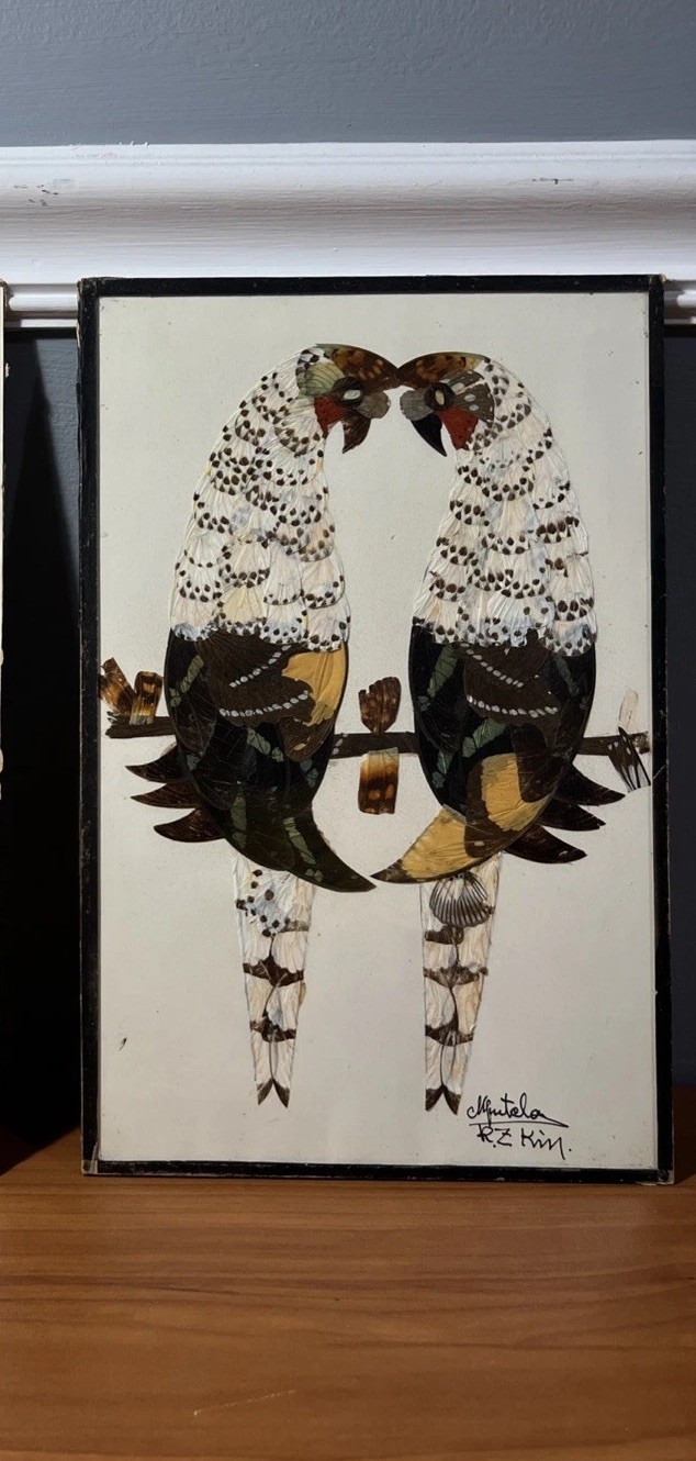 Authentic Butterfly Wing Art Parrots Facing Vintage 70s
