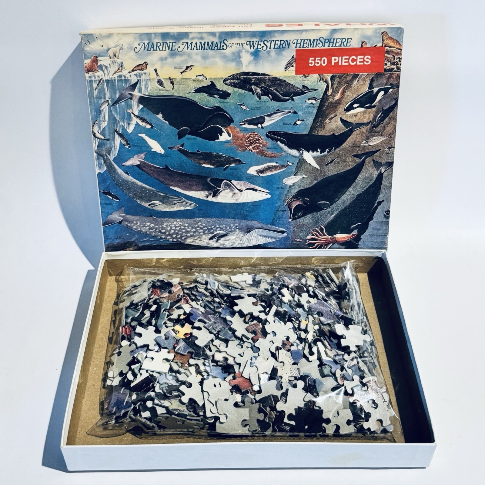 Whales Marine Mammals Of Western Hemisphere 550pc Jigsaw Puzzle 1987 Complete