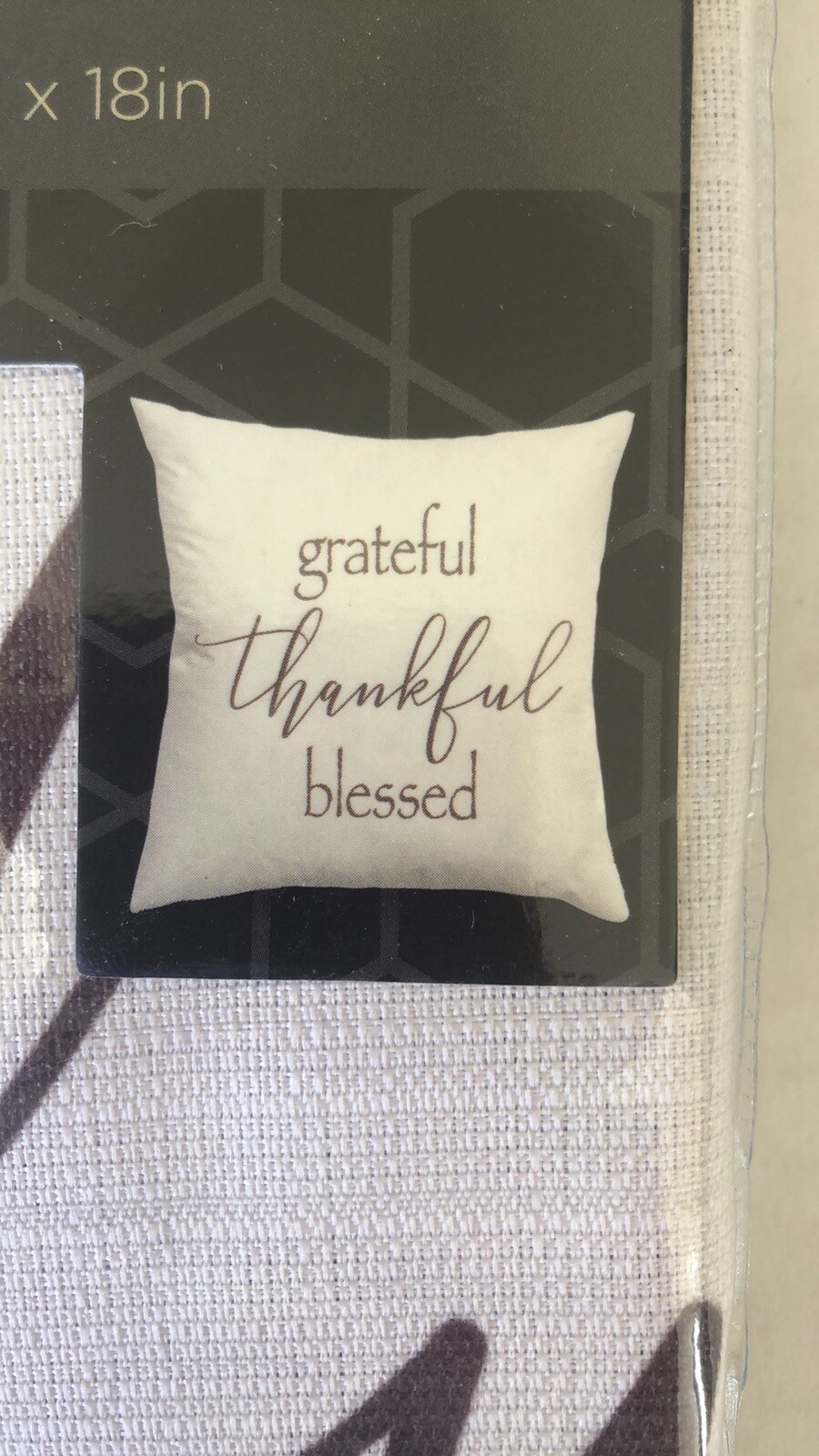 Fall Thanksgiving Decorative Reversible Pillow Cover 18x18