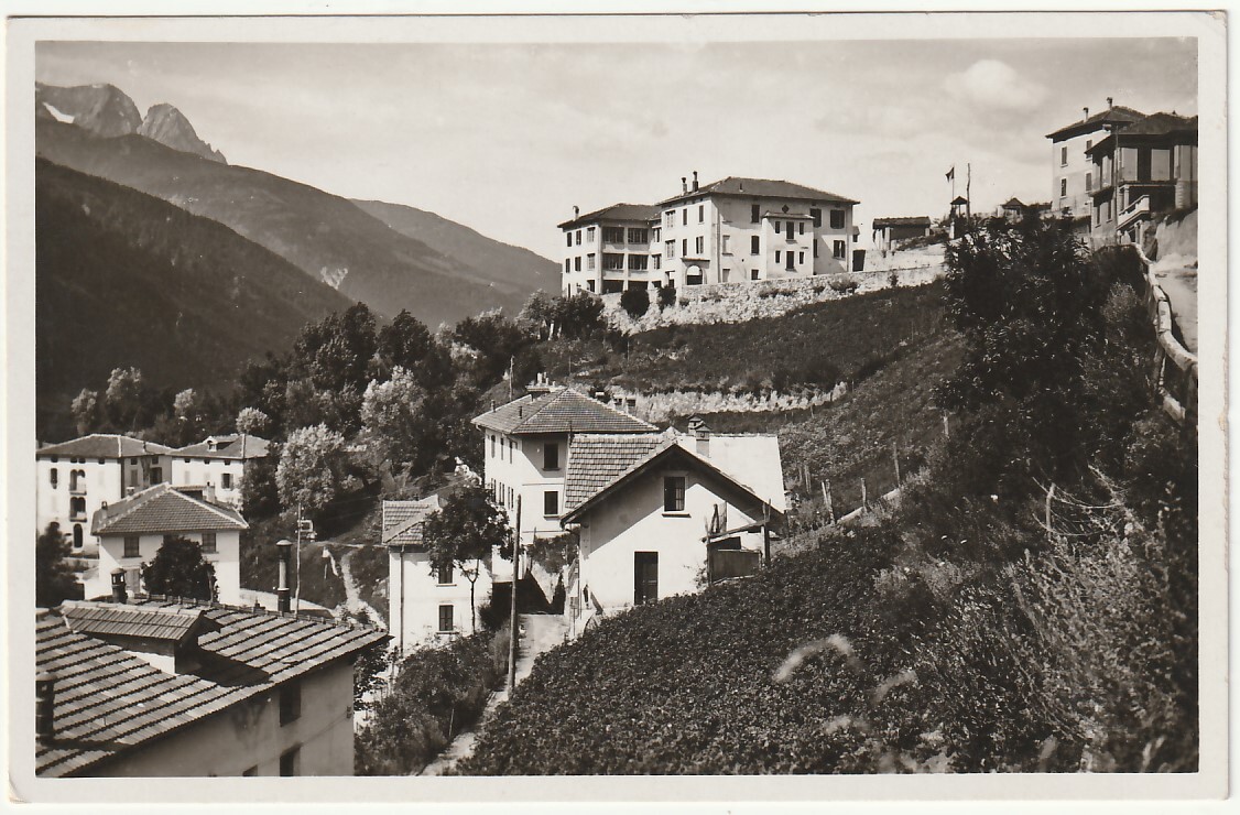 WOODEN BRIDGE - BRESCIA - CANOSSIAN INSTITUTE -8544-