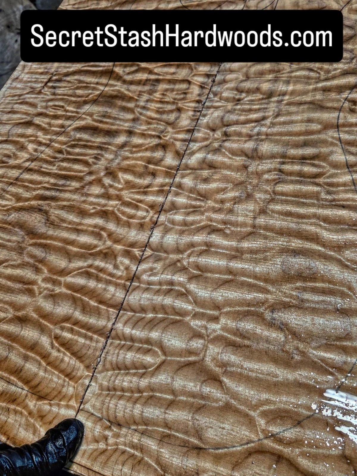 Quilted Maple Carvetop Exotic guitar wood bass figured wood 4 luthier Strat