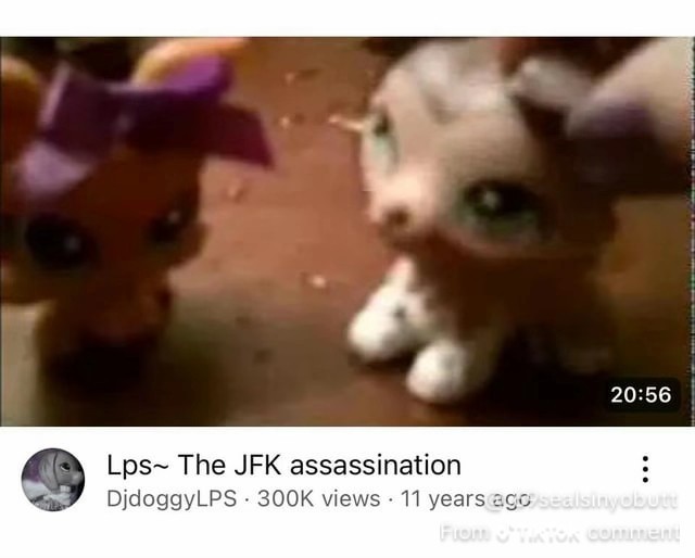 Collar  GPS Pet Tracker for Dogs - Waterproof, GPS Location & Find And Track