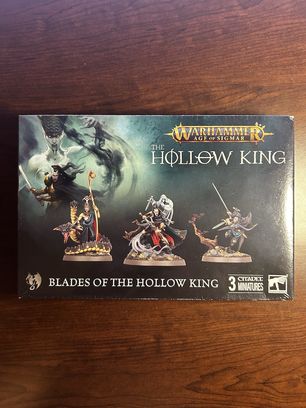 Soulblight Gravelords: Blades of the Hollow King Warhammer Age of Sigmar