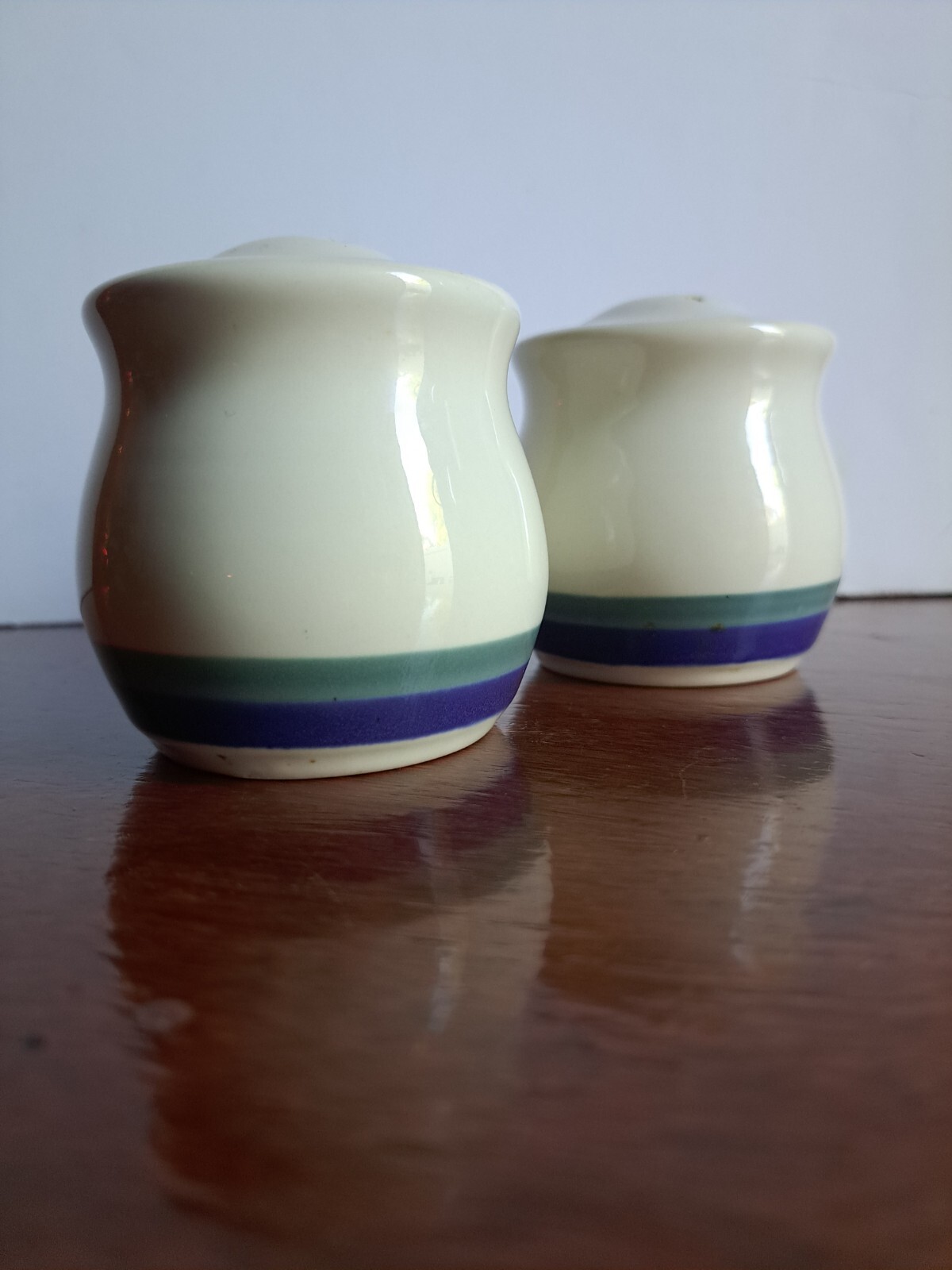 Pfaltzgraff Northwinds Salt and Pepper Shakers Stoneware  Discontinued Set