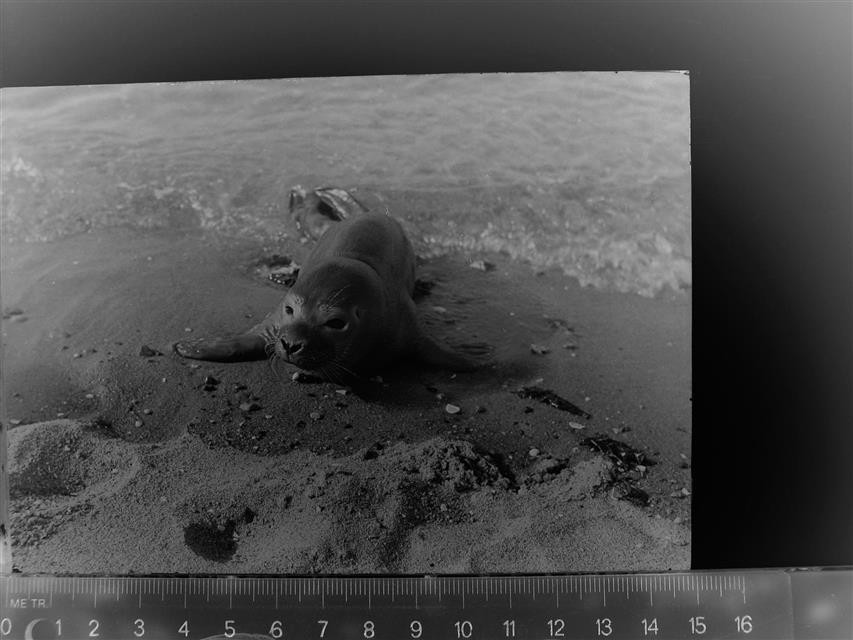 30086893 - 2190 Cuxhaven Cuxhaven LKR