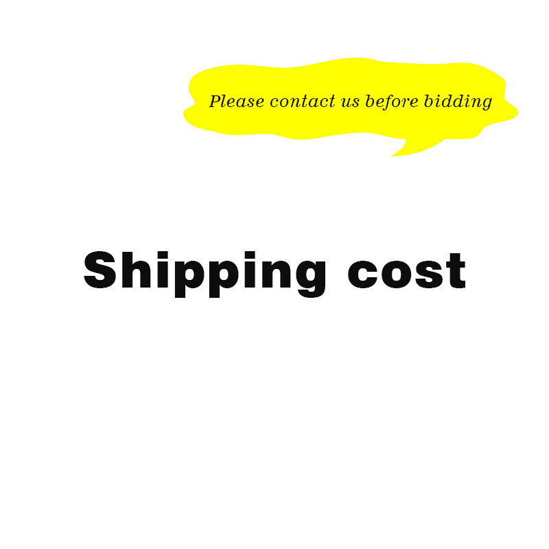 Extra Shipping Fee / Extra Payment Fee ( Please Contact Seller before Bidding)