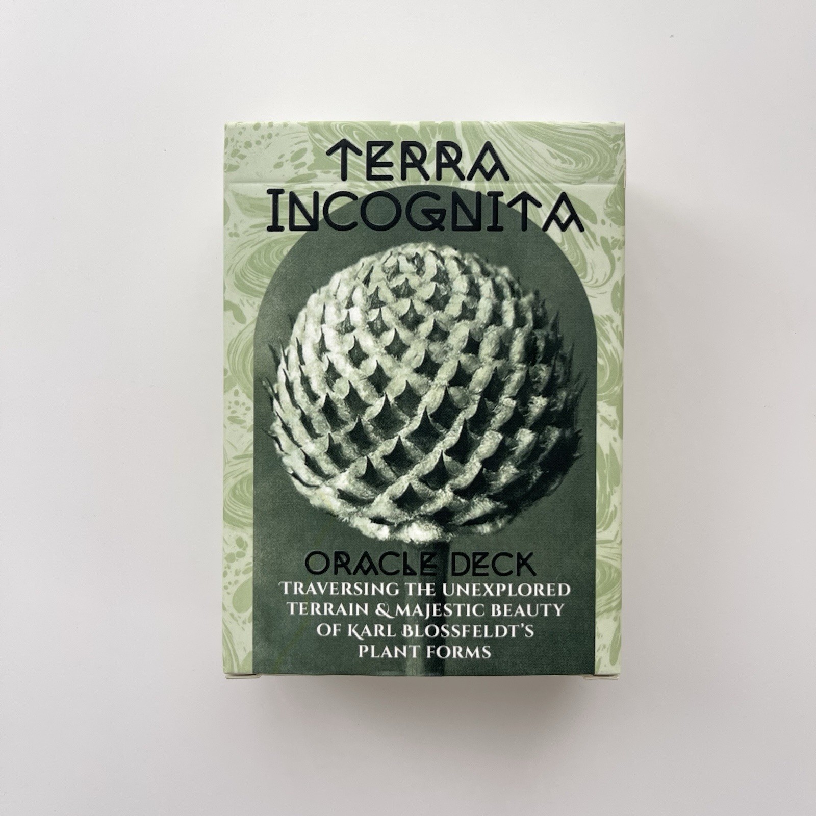 Terra incognita oracle OOP htf rare indie deck