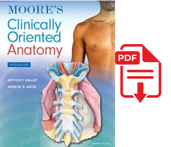 Moore's Clinically Oriented Anatomy 9th Edition