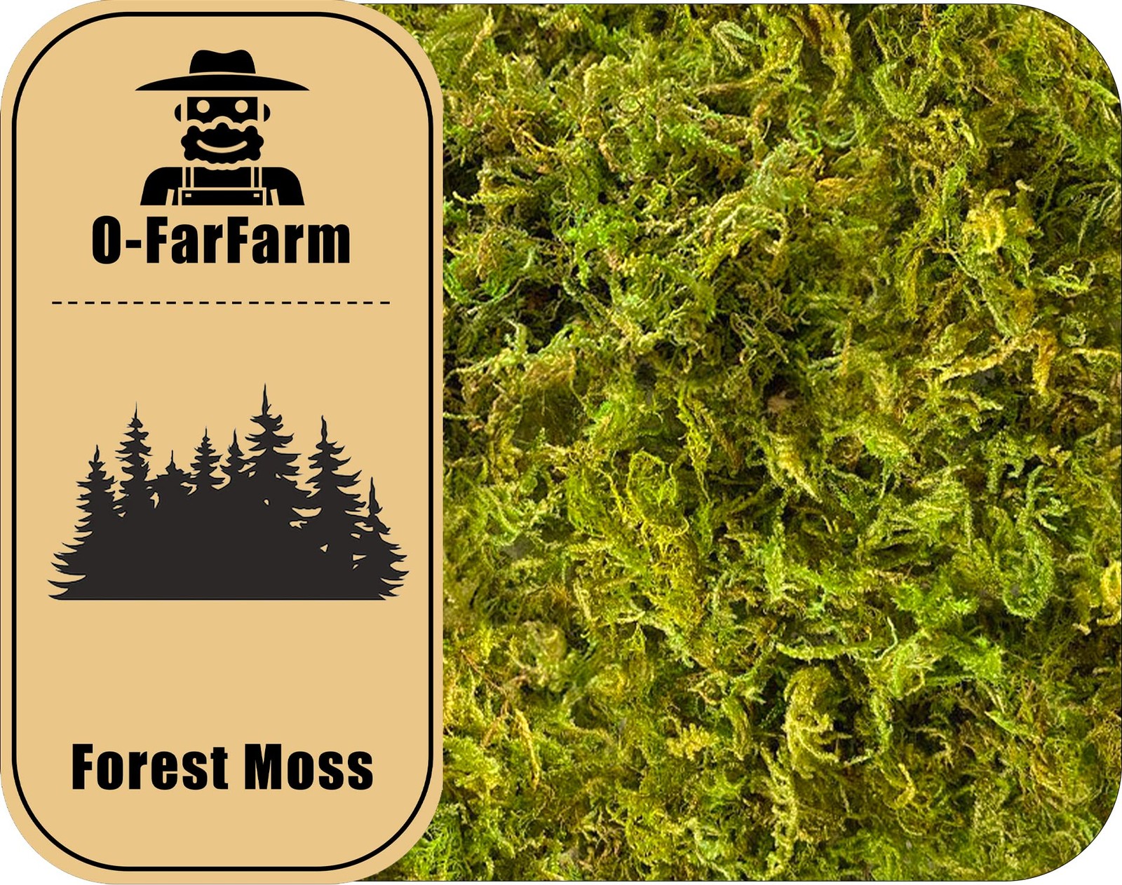 16oz Dried Forest Moss for Plants Green Orchid Sphagnum Long Fibered Moss