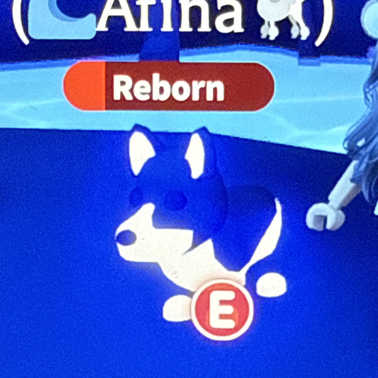 Adopt Me! Reborn Dog Game Item Asset Virtual In-Game Pet for Roblox