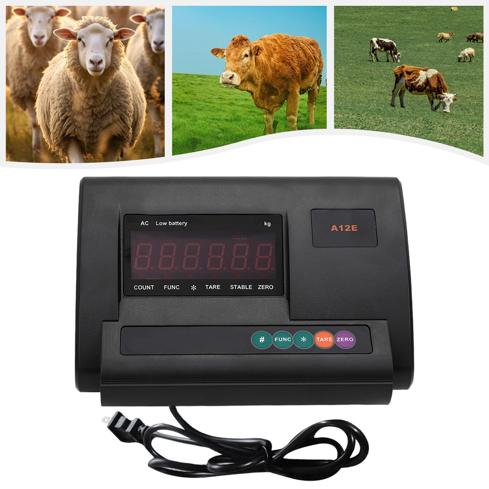 Livestock Scale Kit 5000Lbs for Cattle Hogs Sheep Goats Pigs Chutes Pallet scale