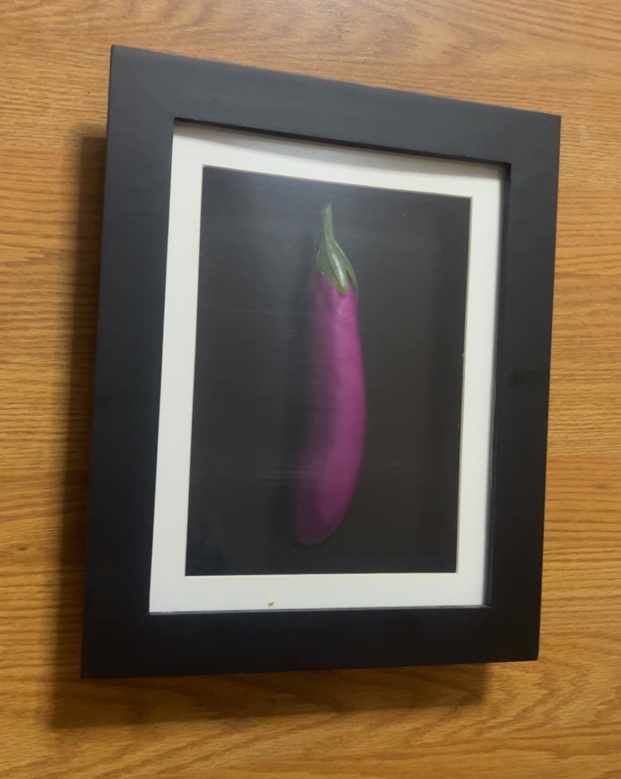 Realistic Eggplant in Shadow Box "D Gift" OOAK Oddity Art Wall Decor