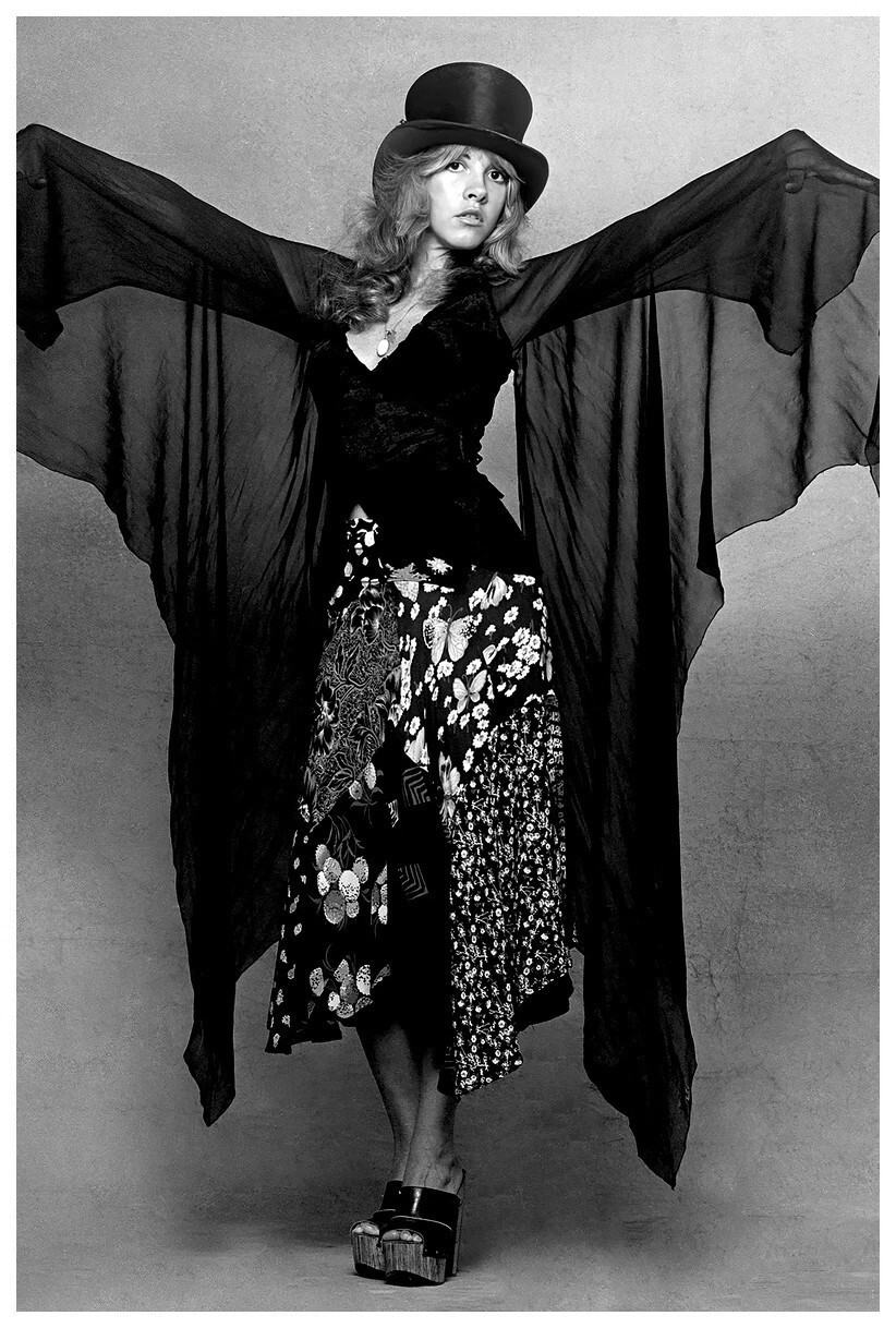 New Popular Stevie Nicks Poster  Gift For Fans  DD399