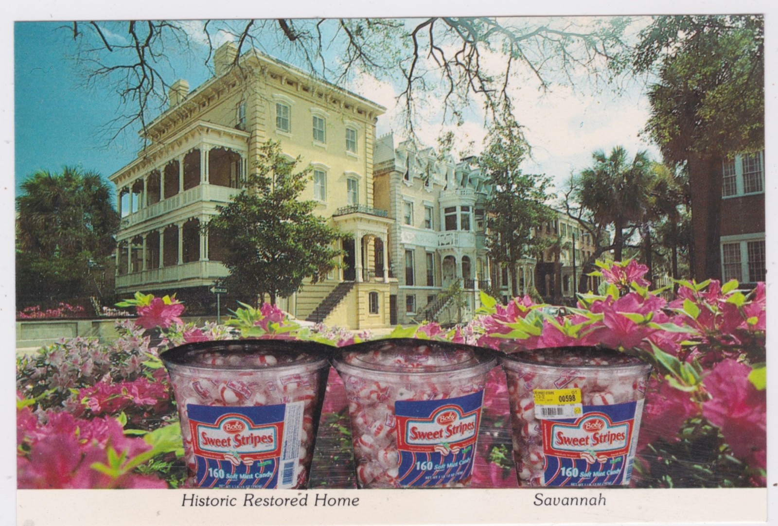 Mail Art David Greenberger "Garden Sweets" original collaged postcard 2023