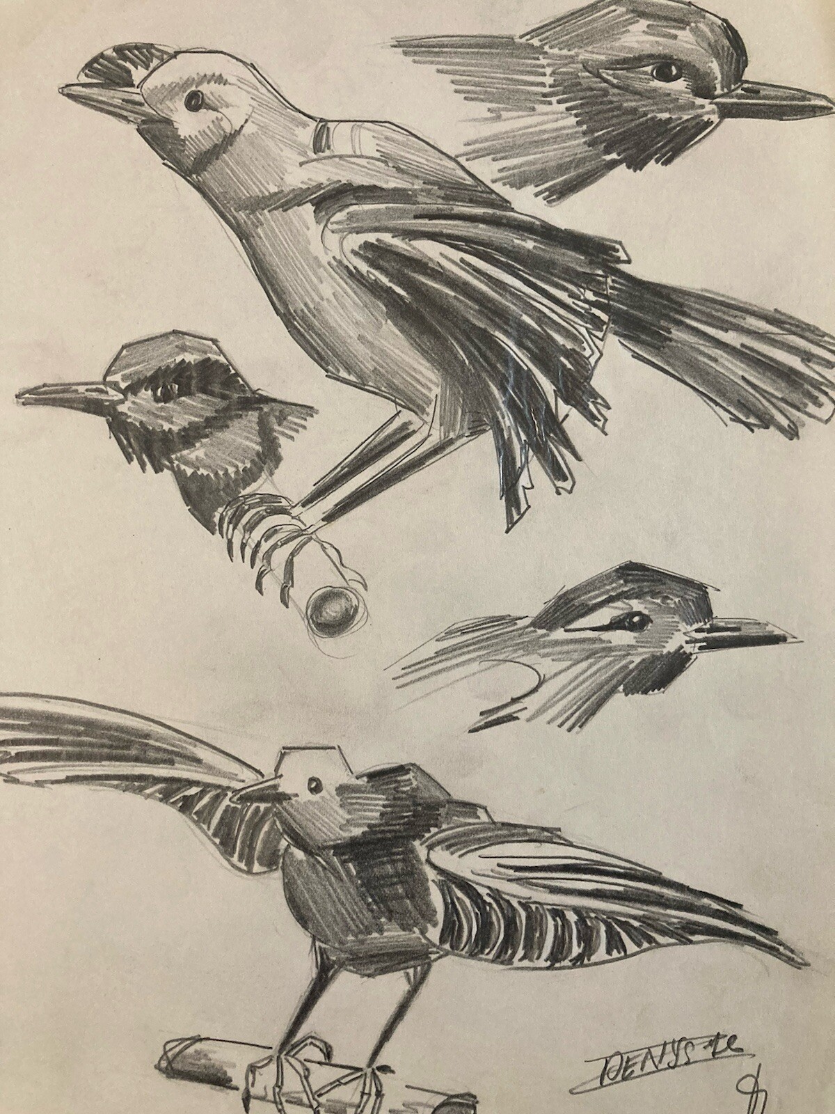 Beau Dessin Oiseau 1950 Mine De Plomb Cubiste Cubisme Moineaux A Identifier Art