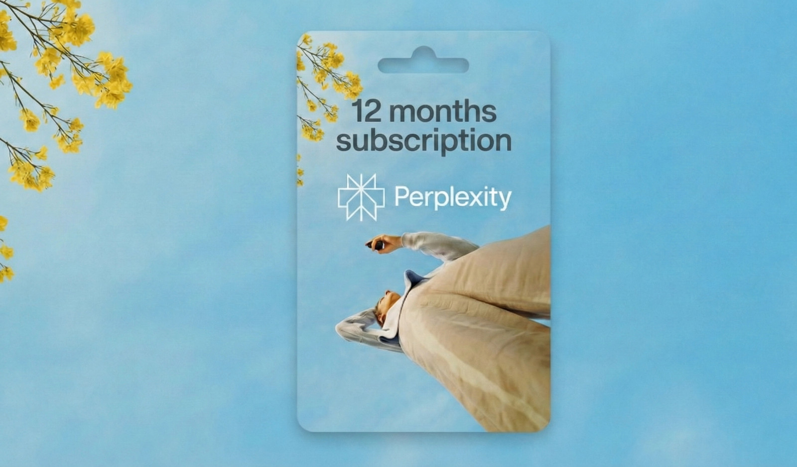 Perplexity Pro Gift Card - 12 MONTHS