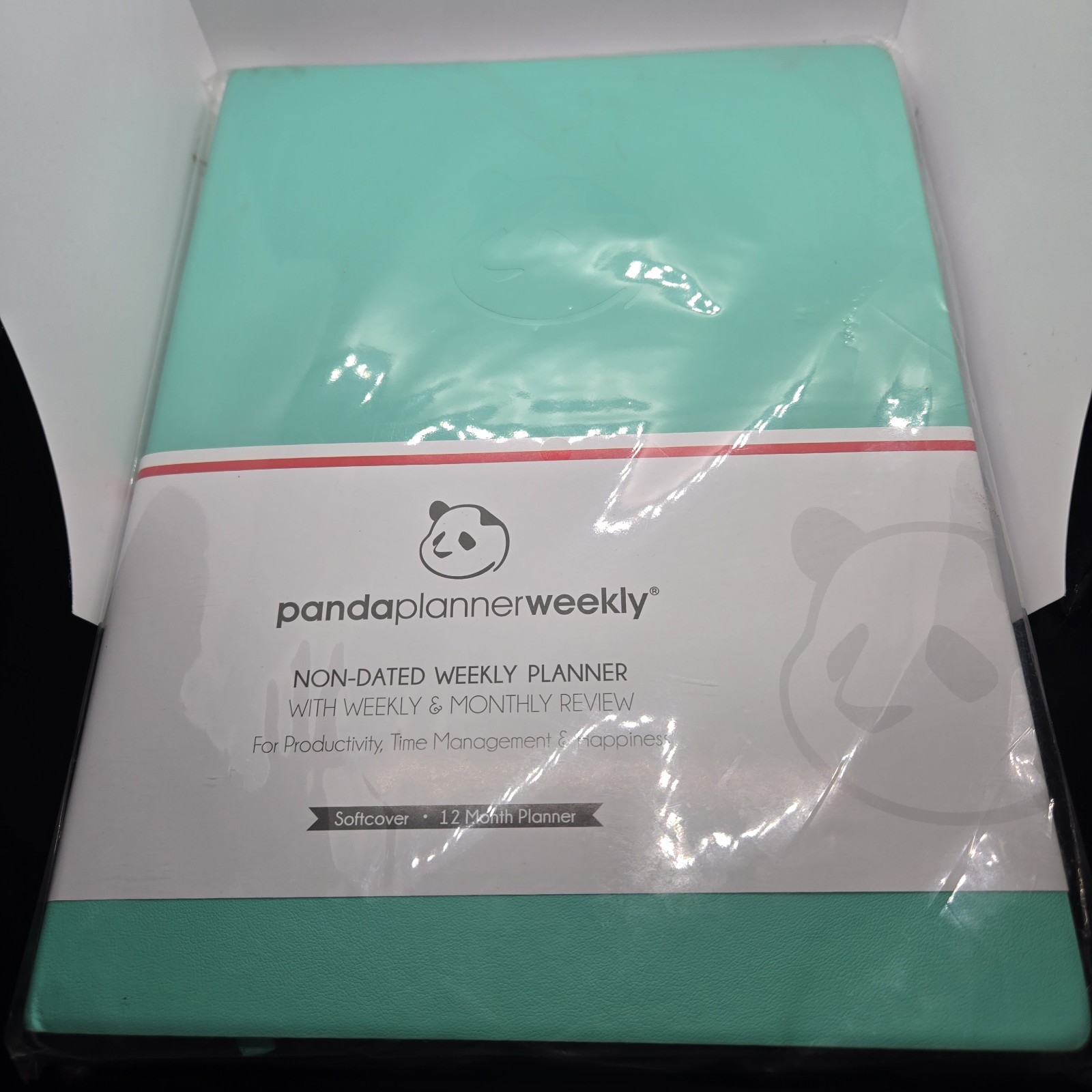 Panda Planner Undated Daily Planner Weekly Monthly 12 Month Aqua Softcover *READ