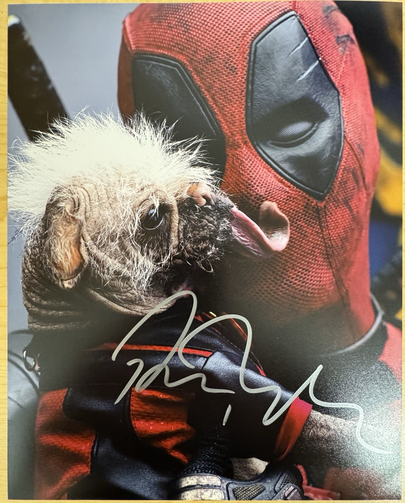 Ryan Reynolds Deadpool Signed Autographed Signature 8x10 Matte Photograph COA