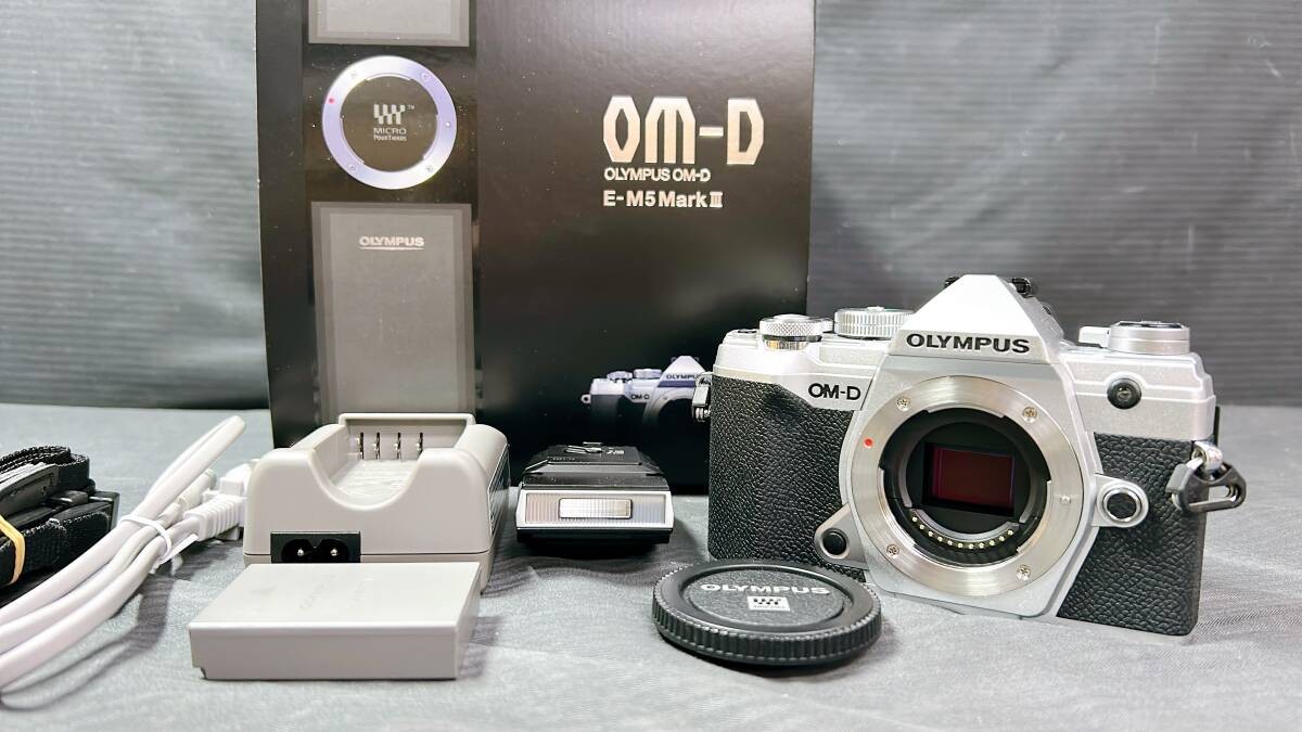 【Excellent】 OLYMPUS OM-D E-M5 Mark III Body Silver 20.4MP Tested Digital Mirrorl