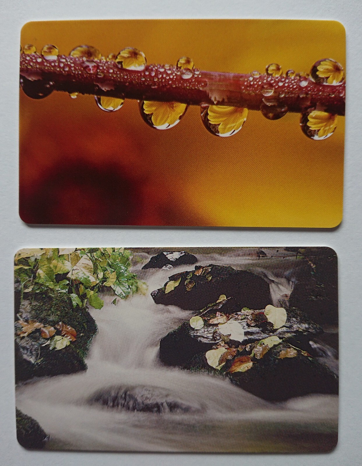 2x Phone Card Telefonwertkarte Trading Card Water Lifeblood Force Leben