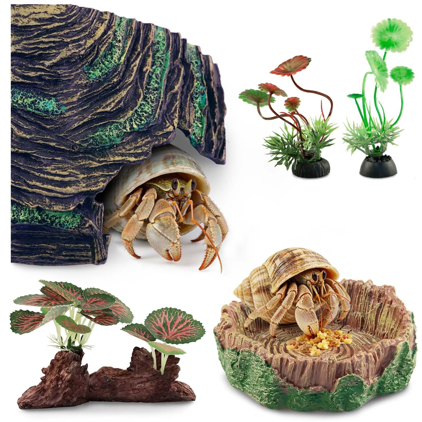 Hermit Crab Accessories, 5 PCS Bearded Dragon Tank Accessories Suitable for B...