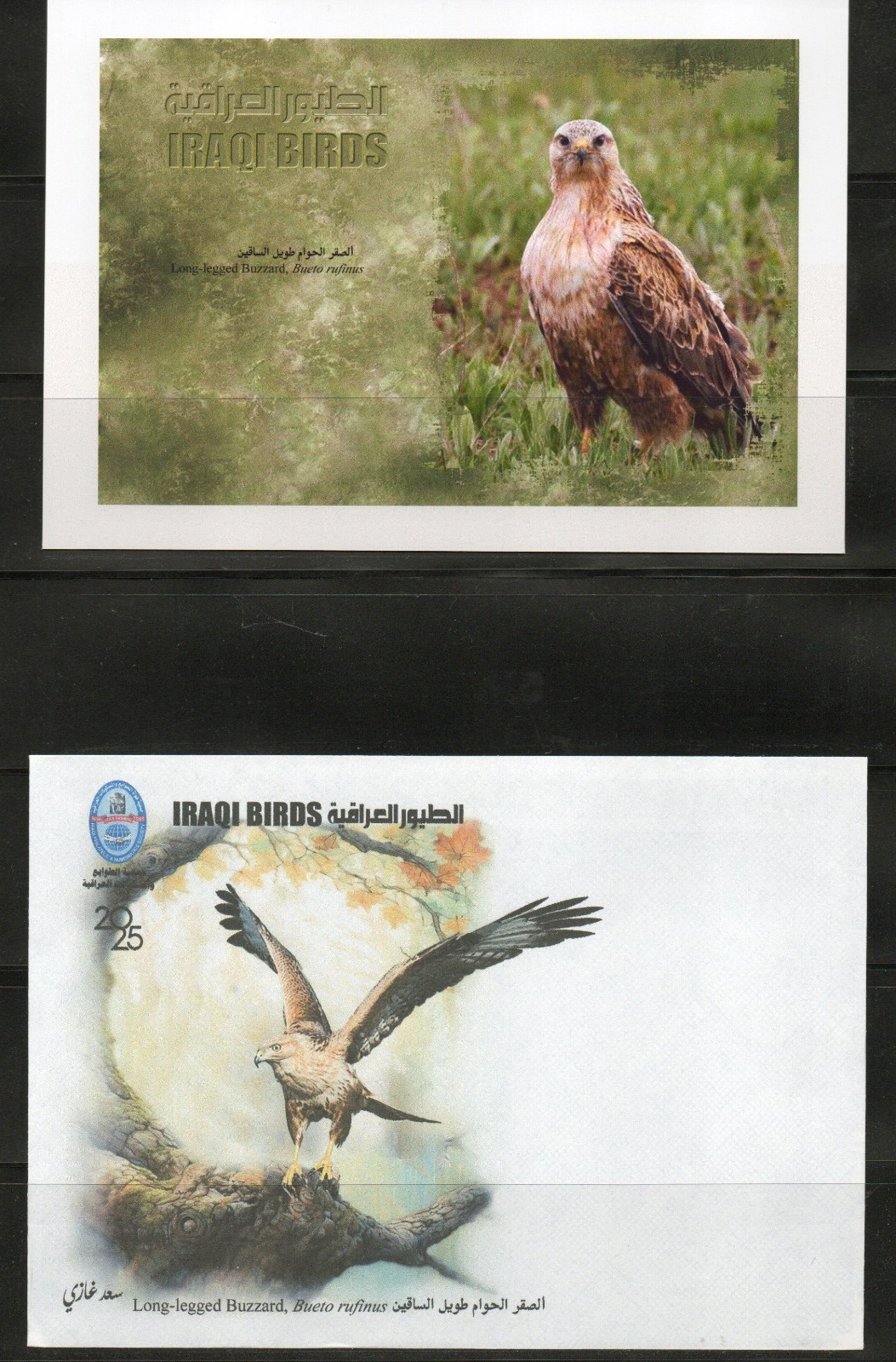 Postcard issued by the Iraqi Philatelic Society featuring the birds of Iraq 2025