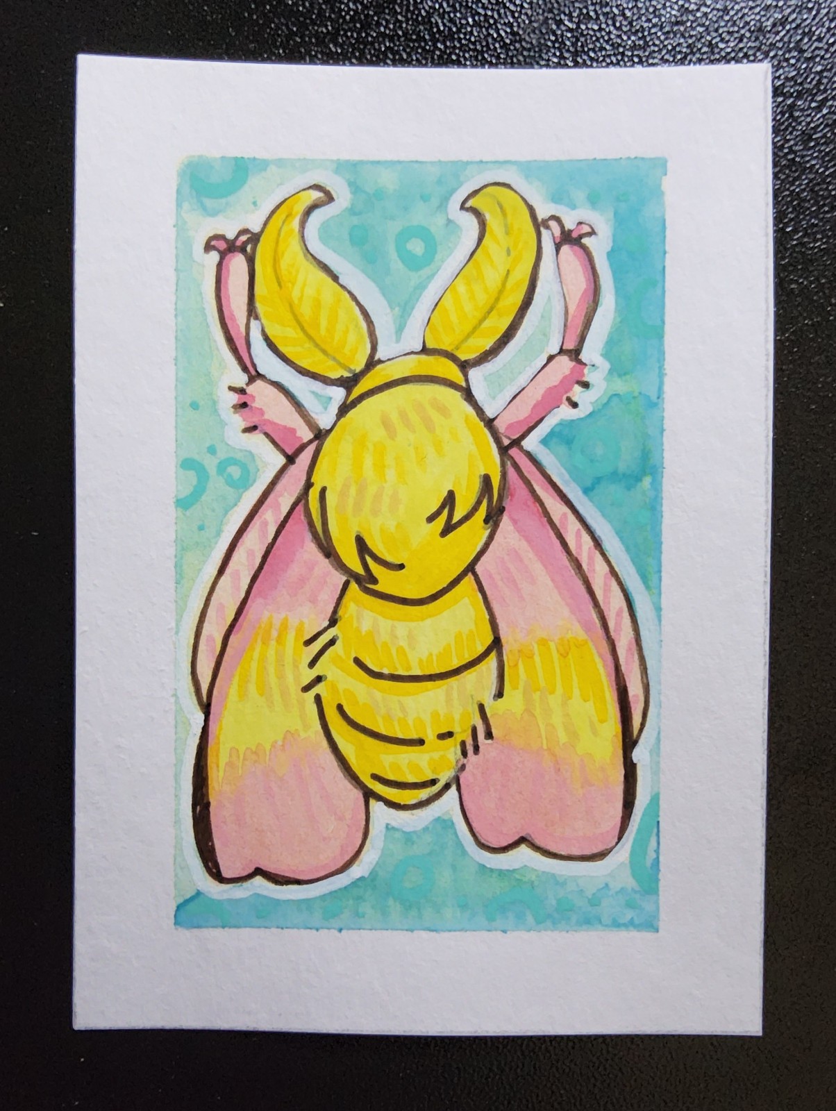 Cottagecore Rosy Maple Moth Watercolor  ACEO Art Card Illustration by LeafSquid