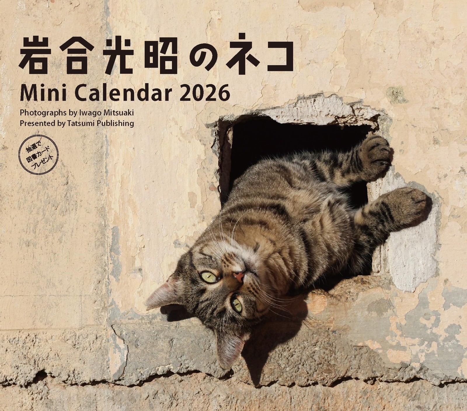Cats Mini Desk Calendar 2026 Mitsuaki Iwago 5.7×6.5in Japanese Style New