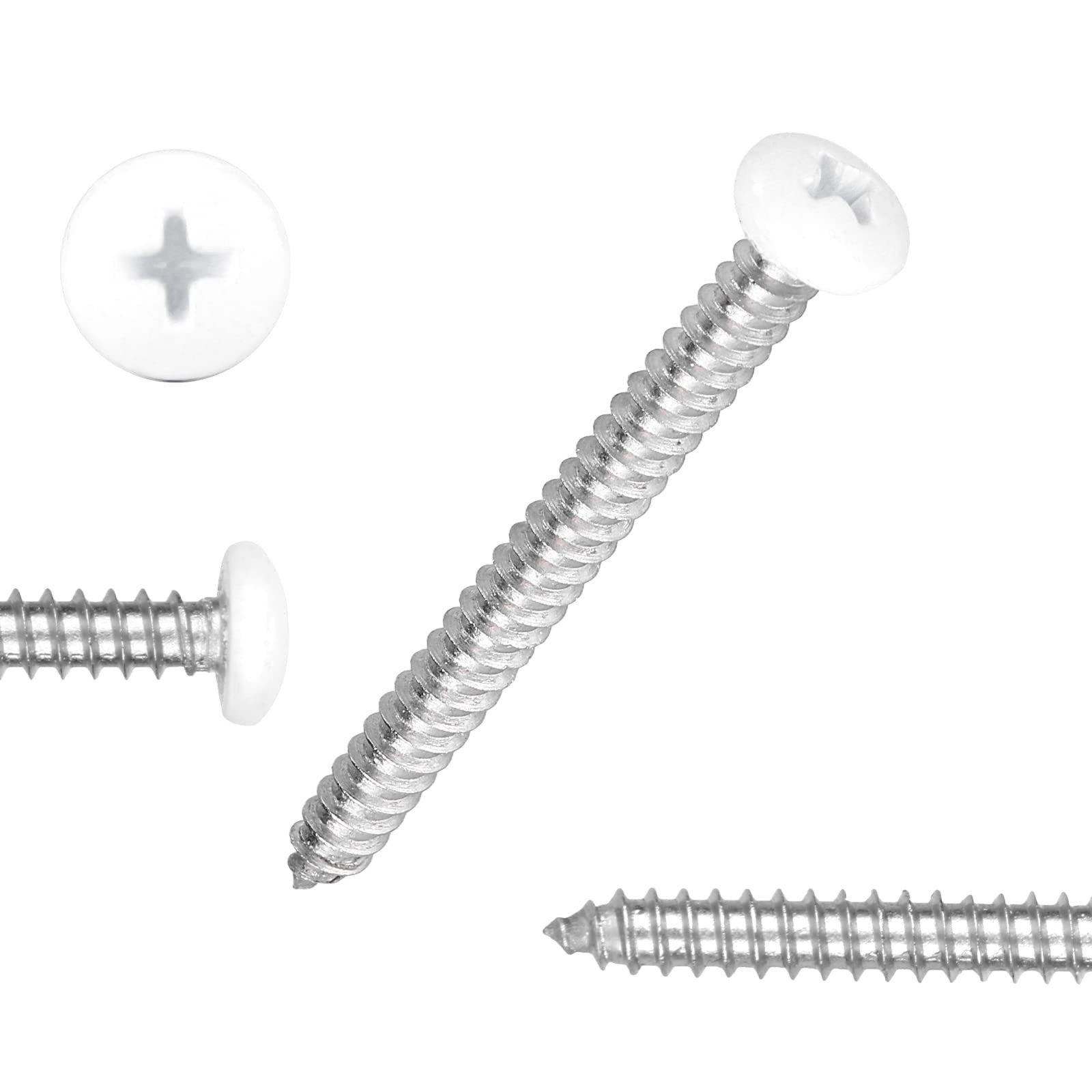 White Head 100 PCS #8x1-1/2(1.5 inch) Stainless Steel #8 x 1.5 inch, 