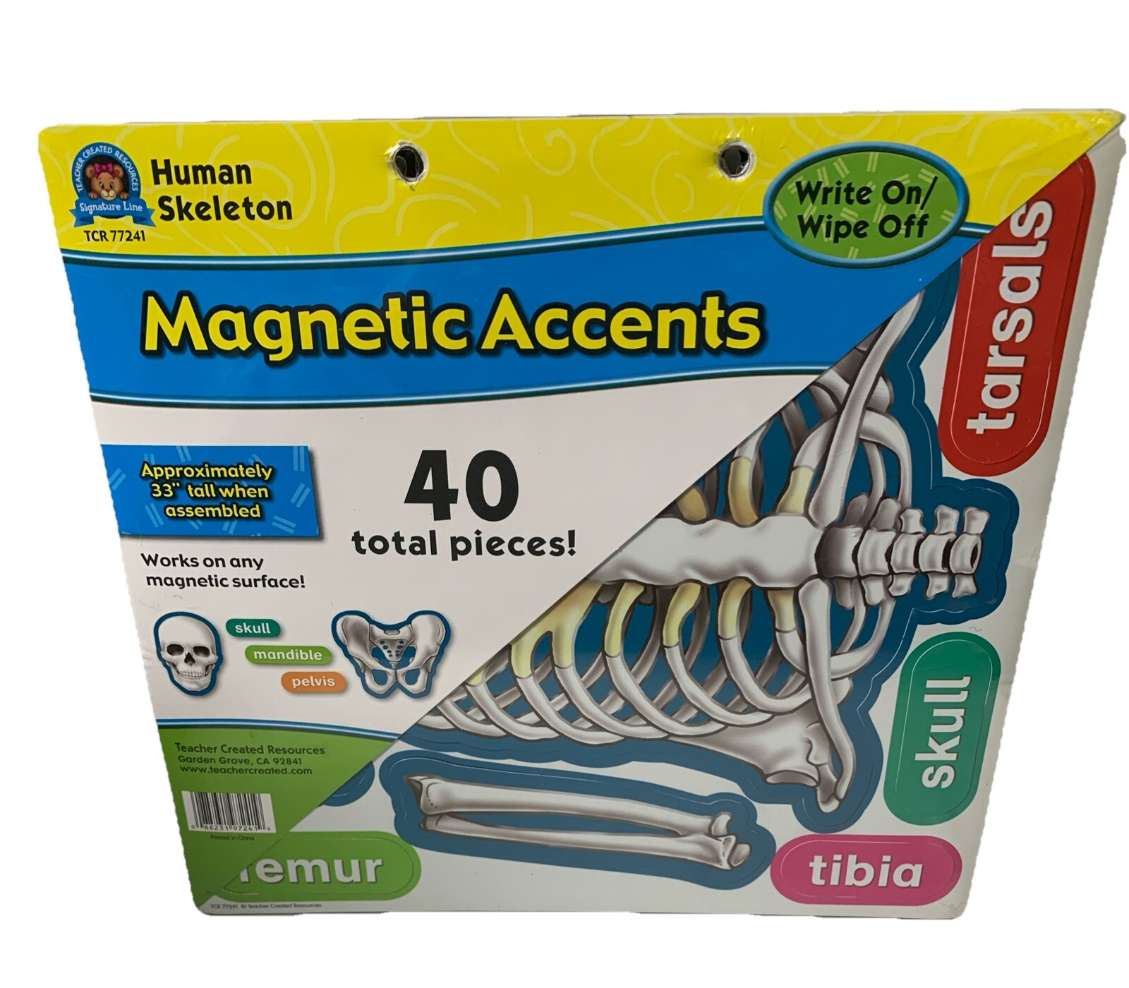 Teacher Created Resources Human Skeleton Magnetic Accent Write On / Wipe Off