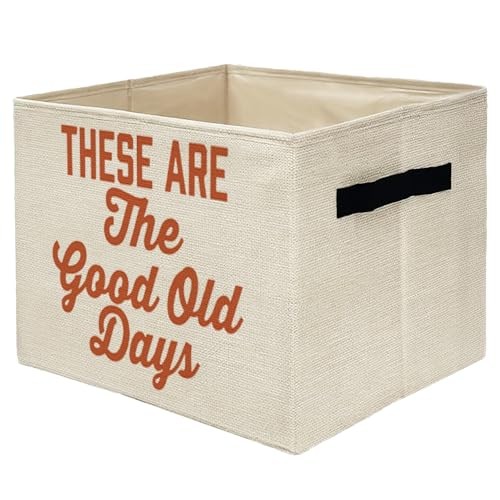 Inspirational Storage Bins Box, Toybox for Girls Boys, These Are Good Old Days