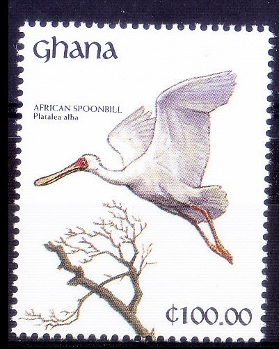 Ghana 1991 MNH, Water Birds, African Spoonbill   [C83] 