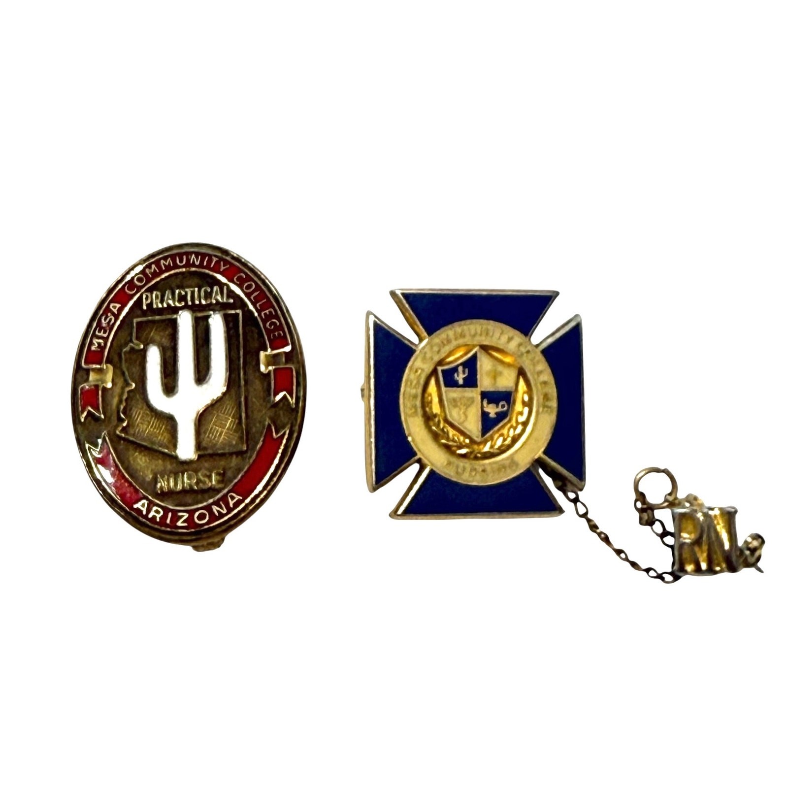 Mesa Community College Nursing Enamel Pin Set of 2 - AZ 80s - 9g 10k Gold Fill