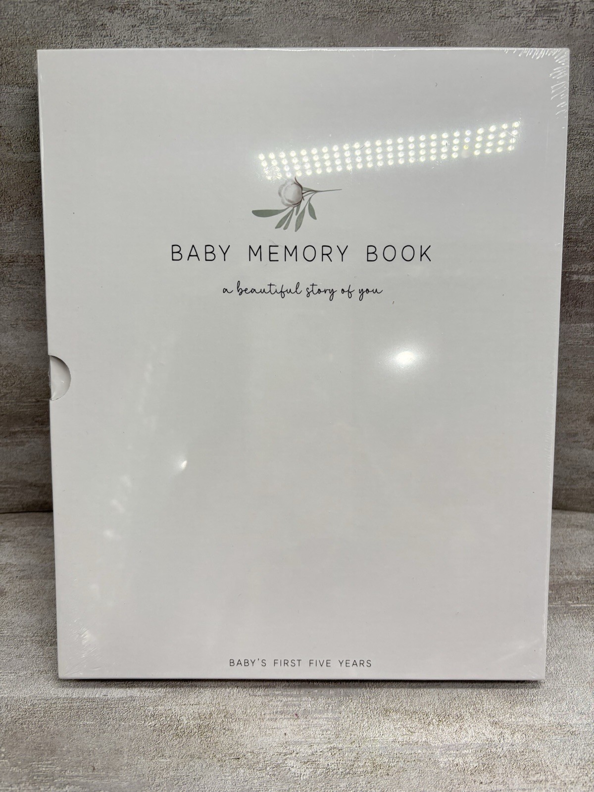Two Little Dinos Baby Memory Book The Story of You Baby’s First Five Years NEW