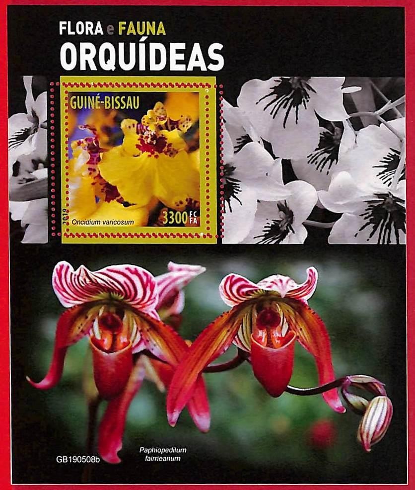 A5212 - GUINE-BISSAU - ERROR MISPERF Stamp Sheet - 2019 - Orchids