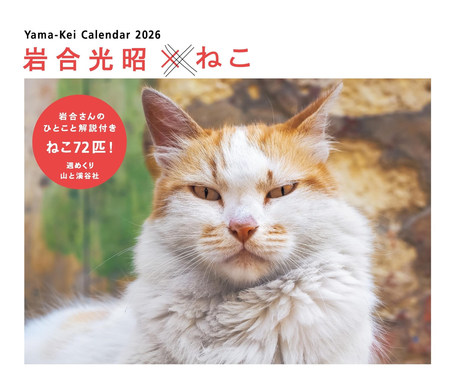 Cat Weekly Desk Ring Calendar 2026 Mitsuaki Iwago 5.5×6.9in Japanese Style New